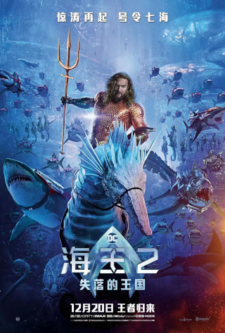 海王2：失落的王国 Aquaman and the Lost Kingdom